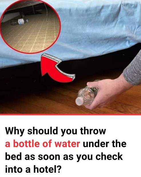 Why You Should Toss a Water Bottle Under Your Hotel Bed Right After You Check In ?