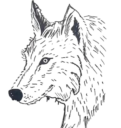 Only 1% of People Can Find 6 the faces in 19 Seconds.